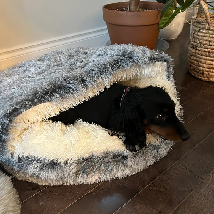 Plush Hideaway Bed for dogs and cats